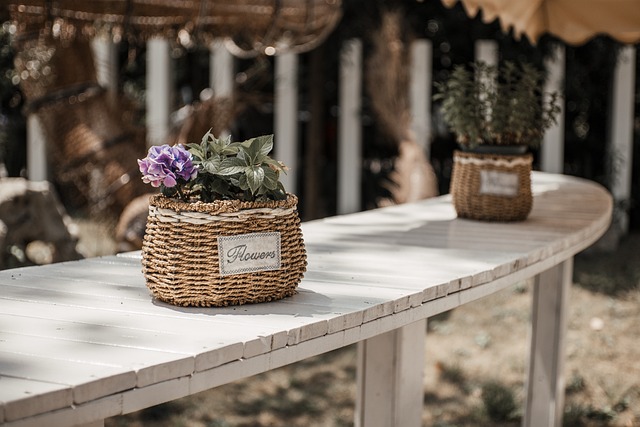 cesta